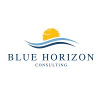 Blue Horizon Consulting image 1